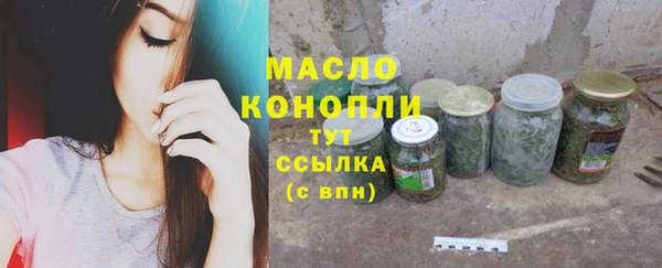 эйфоретик Щигры