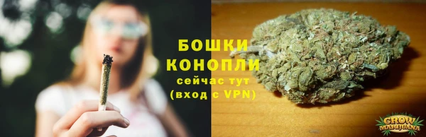 ПСИЛОЦИБИНОВЫЕ ГРИБЫ Козловка