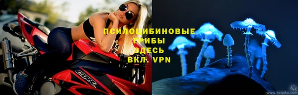 ПСИЛОЦИБИНОВЫЕ ГРИБЫ Козловка