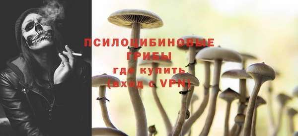 ПСИЛОЦИБИНОВЫЕ ГРИБЫ Козловка