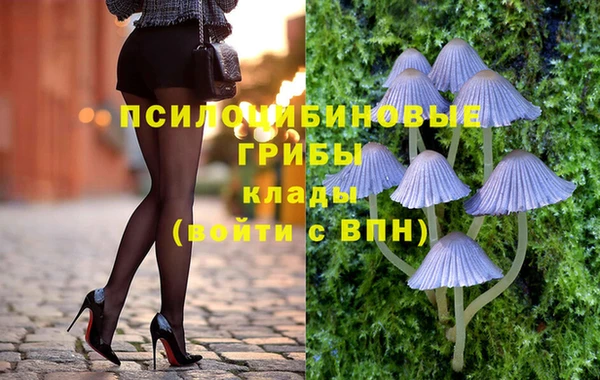 ПСИЛОЦИБИНОВЫЕ ГРИБЫ Козловка