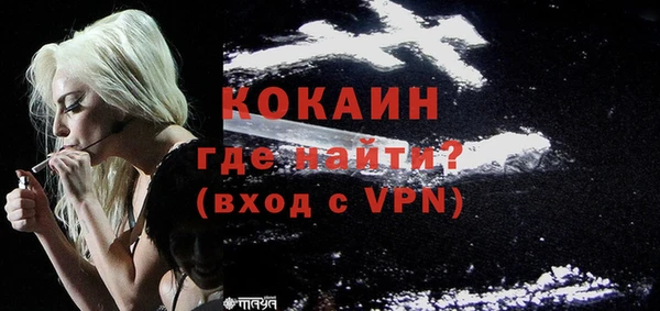 ПСИЛОЦИБИНОВЫЕ ГРИБЫ Козловка