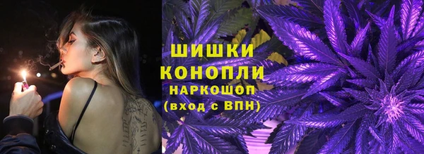 ПСИЛОЦИБИНОВЫЕ ГРИБЫ Козловка