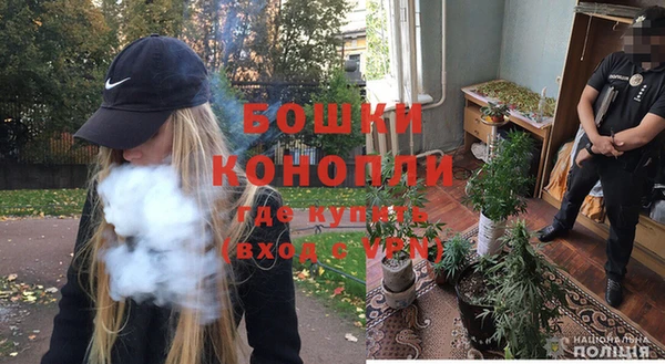 спайс Кодинск