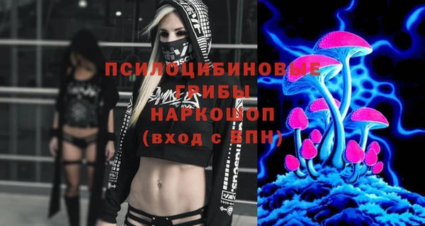 ALPHA PVP Козельск