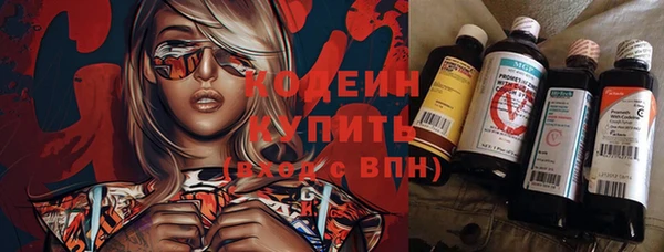 ПСИЛОЦИБИНОВЫЕ ГРИБЫ Козловка