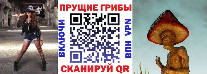 Псилоцибиновые грибы Psilocybe Купить закладки Лесосибирск